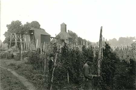 Hop fields with hop dryers, in the Butteville area, circa 1900 [Photo courtesy Oregon Historical Photo Collection, Salem Public Library]